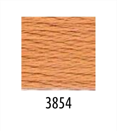 DMC κλωστή κεντήματος 3854