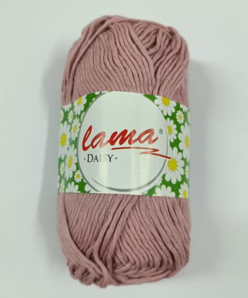 Lama Daisy Dried Rose 31